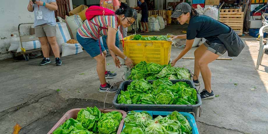 These Food Waste Heroes are Rescuing Vegetables, One Truck at a Time ...